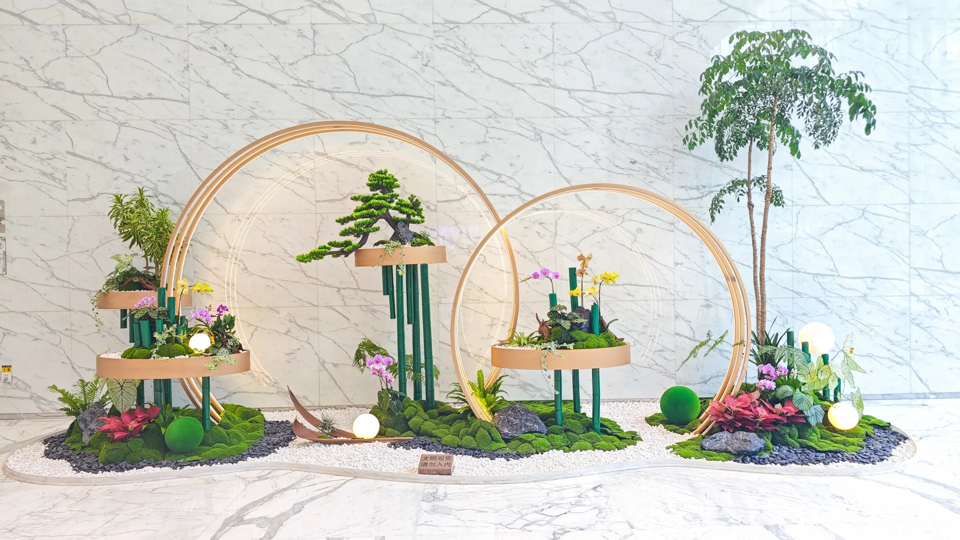 专业团队，提供余姚盆景出租优质服务